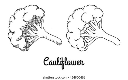 Inflorescence of cauliflower. Isolated with the inscription