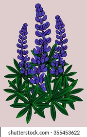 Inflorescence of lupines, blue flowers.