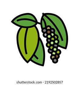 inflorescence pepper color icon vector. inflorescence pepper sign. isolated symbol illustration