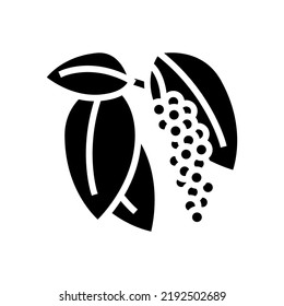 inflorescence pepper glyph icon vector. inflorescence pepper sign. isolated symbol illustration