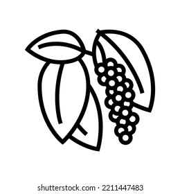 inflorescence pepper line icon vector. inflorescence pepper sign. isolated contour symbol black illustration