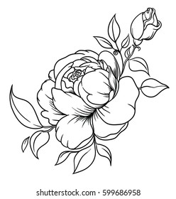 Inflorescence Roses Rosebud Element Decor Bouquet Stock Vector (Royalty ...