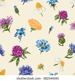 inflorescence of wild flowers