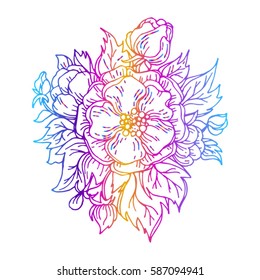 inflorescence of wild rose, flower image for Tattoo. Label, decorative element for design. Printing on fabric or mug. Vector illustration, isolated. Linear ink drawing briar, handmade.