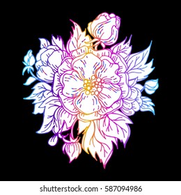 inflorescence of wild rose, flower image for Tattoo. Label, decorative element for design. Printing on fabric or mug. Vector illustration, isolated. Linear ink drawing briar, handmade.