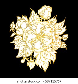 inflorescence of wild rose, flower image for Tattoo. Label, decorative element for design. Printing on fabric or mug. Vector illustration, isolated. Linear ink drawing briar, handmade.