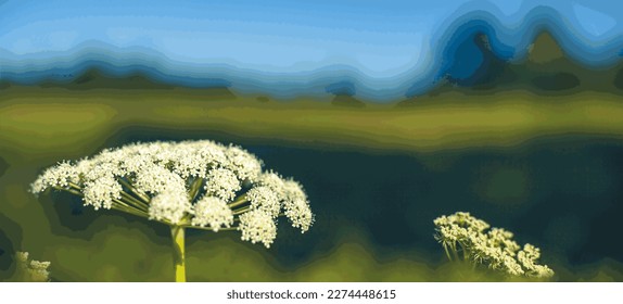 Inflorescences of Heracleum sphondylium (branca ursina homeopathy, birthing homeopathy, sore herb homeopathy, hera) against the background of a forest belt on the horizon line. Vector.