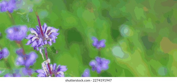 Inflorescences of the medicinal plant Phlomoides tuberosa on a forest lawn. Close-up. Vector.