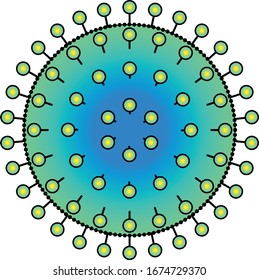 Influenza corona virus with spherical envelope and glycoprotein spikes.