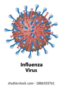 Ilustración del virus de la gripe. Las estructuras del virus de la gripe se cierran con un fondo blanco.