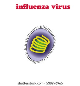 Influenza virus isolated.