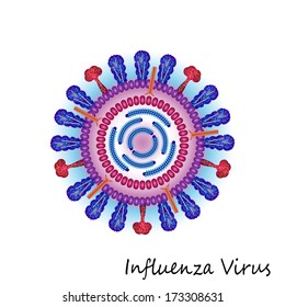 Influenza virus particle structure