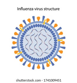 Influenza Virus Structure. Microbiology. Virology. Vector Illustration In Flat Style Isolated Over White Background. 