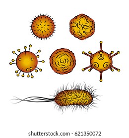 Influenza viruses and E coli Bacteria. Color vector illustration. Isolated on white background