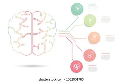 Info graphic brain of business template illustration. Vector 10 EPS.