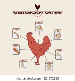 1,725 Chicken info graphic Images, Stock Photos & Vectors | Shutterstock