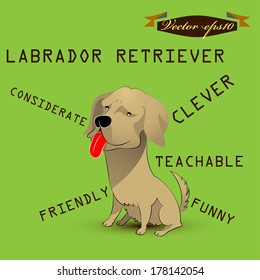 info graphic design illustration vector of labrador retriever