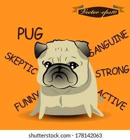 info graphic illustration design vector of pug 