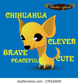 info graphic illustration design vector of chihuahua