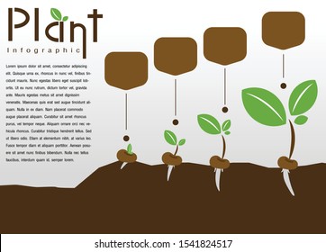 Info graphic plant growth timeline with example text. Leave and root under the ground background with message box template. Save the earth concept in globalization. growing step design.
