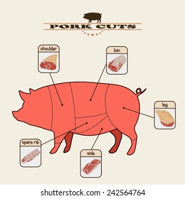 info graphic of the pork cuts on light background
