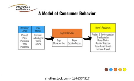 Info graphic template about a model of consumer behavior with 3 chart and two black arrow. Can be used for process, presentation, diagram, workflow layout, info graph, web design, brochure or chart.