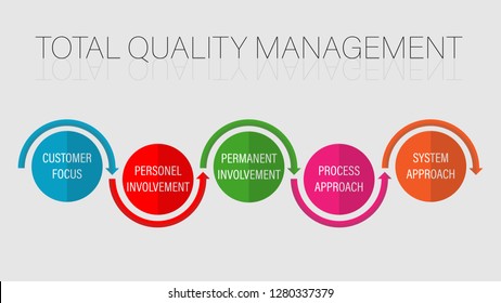 Info Graphic. Total Quality Management