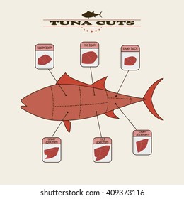 info graphic of the tuna cuts on light background