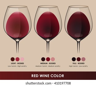 Info graphic vector of red wine types are classified by color.(EPS10)