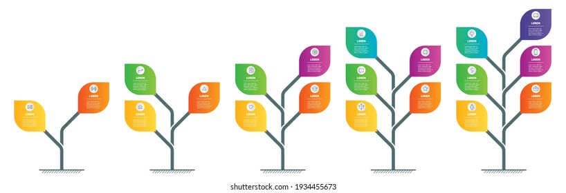 Gráfico informativo. infografía vertical o líneas de tiempo con 2, 3, 4, 5, 6 partes. Plantas estilizadas con hojas. Desarrollo y crecimiento de tecnologías de tipo natural. Presentación de negocios con 5 pasos.