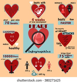 info graphics and interesting facts about the human heart and cardiac activity