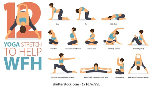 Infographic 12 Yoga poses for workout in concept of Stretch to help WFH in flat design. Women exercising for body stretching. Yoga posture or asana for fitness infographic. Flat Cartoon Vector.