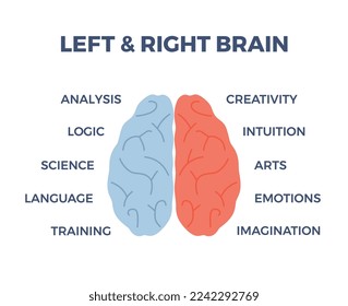 Infographic about human brain with left and right hemisphere flat style, vector illustration isolated on white background. Blue and red parts, analysis and creativity, logic and intuition