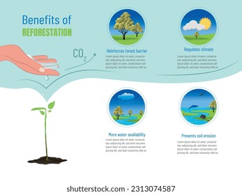 Infografik über die wichtigsten Vorteile der Wiederaufforstung und ihre entsprechenden Symbole.
