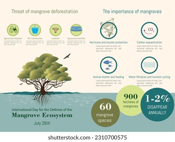 Infographic about the mangrove ecosystem, what is its threat and the importance of the mangrove, silhouette of a mangrove, with icons on a colored background.