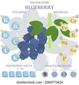 Infographic about nutrients in blueberry. Vector illustration of blueberry, vitamins,berries, healthy food, nutrient, diet. Vitamins and minerals. Health benefits of blueberry.