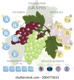 Infografía sobre nutrientes en uvas. Ilustración vectorial de uvas, vitaminas, bayas, alimentos sanos, nutrientes, dieta. Vitaminas y minerales. Beneficios para la salud de las uvas.