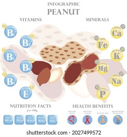 Infographic about nutrients in peanut. Vector illustration of peanut, vitamins, nuts, healthy food, nutrient, diet. Vitamins and minerals. Health benefits of peanut.