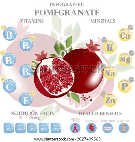 Infographic about nutrients in pomegranate. Vector illustration of pomegranate, vitamins, fruits, healthy food, nutrient, diet. Vitamins and minerals. Health benefits of pomegranate.