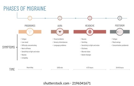 Infographic about the stages of a migraine: duration of each stage and symptoms in each phase.
