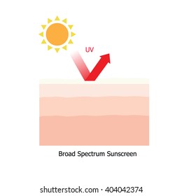 Infographic about sunscreen lotion protect human skin from UV ray 