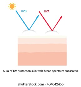 Infographic about sunscreen lotion protect human skin from UVA , UVB ray with sunscreen lotion for  uv protect 