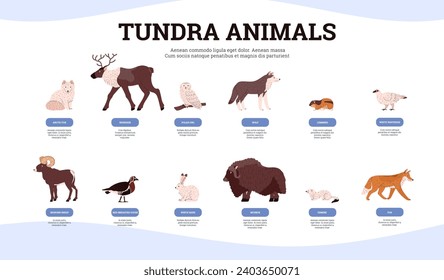 Infographic about tundra animals with names flat style, vector illustration on white background. Decorative design with place for text, wildlife and nature, fox and hare, wolf and lemming