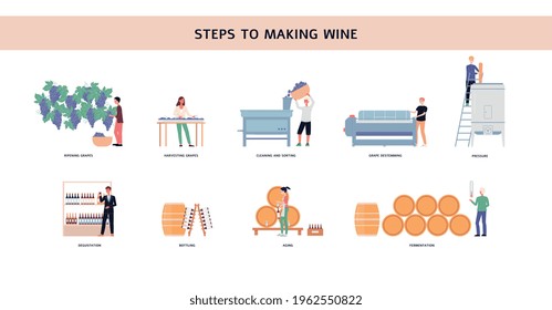 Infographic banner showing steps of winemaking, flat vector illustration isolated on white background. Wine producing works and stages to making wine.