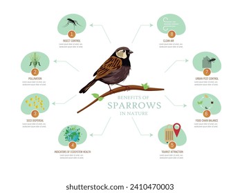 Infographic of the benefits of sparrows in nature.8 tips of their importance .