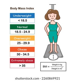 La infografía del rango de índices de masa corporal muestra el estado de peso desde el peso inferior al normal hasta el extremadamente obeso con la calculadora de IMC y las mujeres de dibujos animados.Concepto de atención médica.Vector.Ilustración.