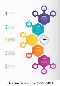 Infographic or Business presentation with 5 options. Web Template of a chart, mindmap or diagram on white background. Vector infographics or mind map of technology or education process with 5 steps