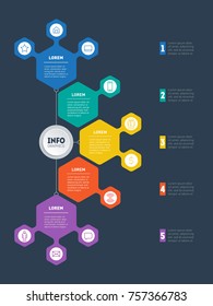 Infographic or Business presentation with 5 options. Vector infographics or mind map of technology or education process with 5 steps. Web Template of a chart, mindmap or diagram on dark background.