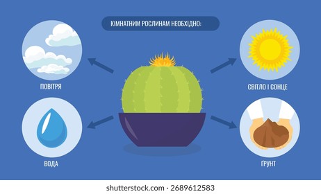 Infografía de cactus en maceta. Ilustración vectorial en estilo plano
