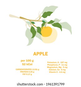 Infographic card about calories of apple 100g. Vitamins, minerals and calorie content. Flat healthy food concept. Information about nutrition facts apple fruit. Conceptual healthy nutrition card.
